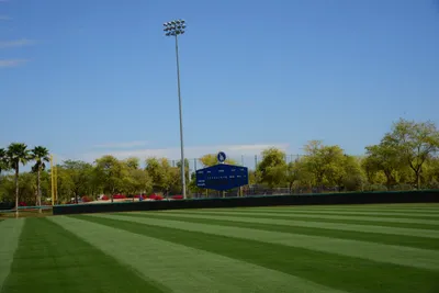 DSC_1509 (Large).JPG